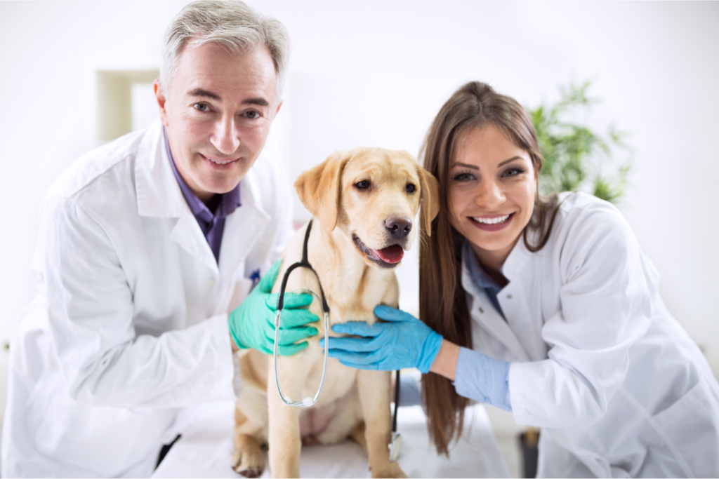 Two smiling veterinarians with a golden retriever between them.