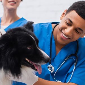 A veterinarian-in-training looking after a dog and smiling.