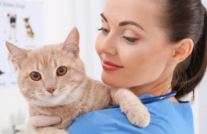 A veterinary extern examining the cat leaning against her shoulder.